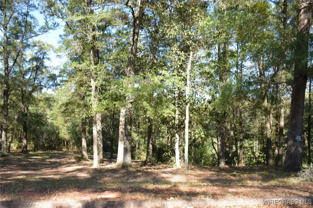 0 Meriwether Road Enterprise AL 36330