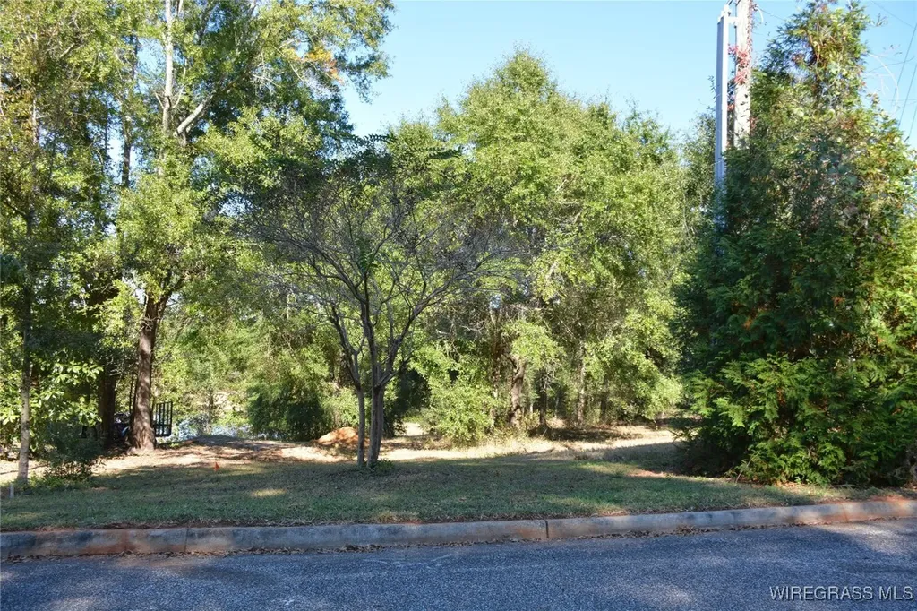 0 Meriwether Road Enterprise AL 36330