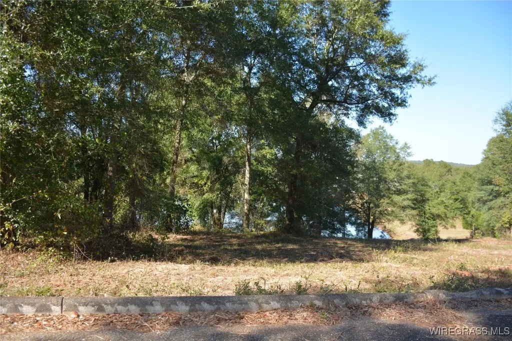 0 Meriwether Road Enterprise AL 36330