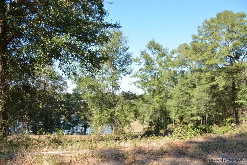 0 Meriwether Road Enterprise AL 36330