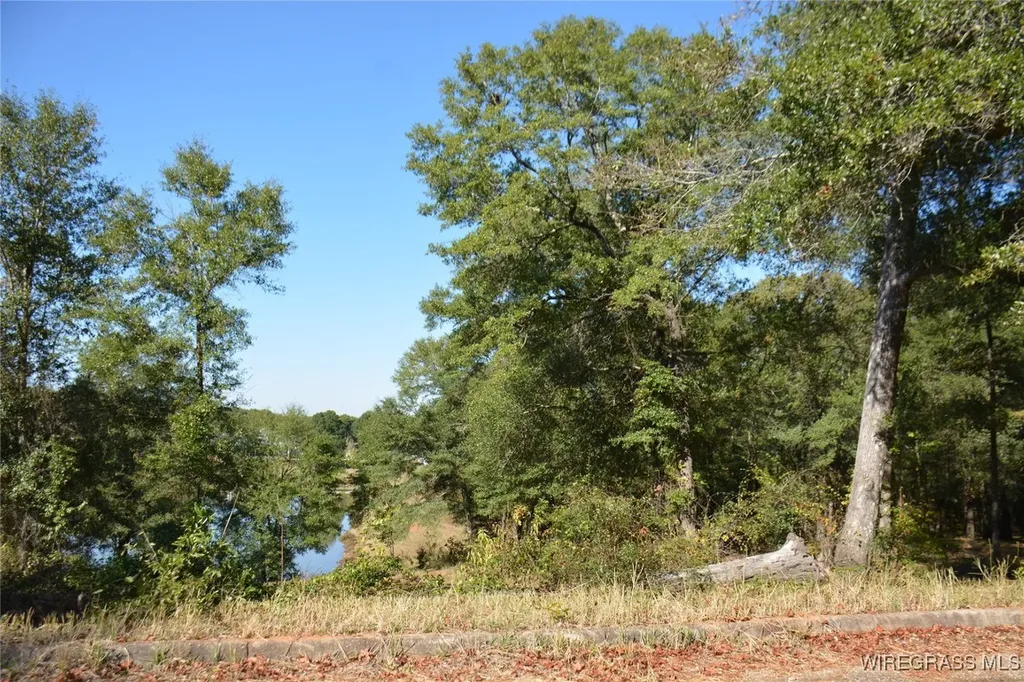 0 Meriwether Road Enterprise AL 36330