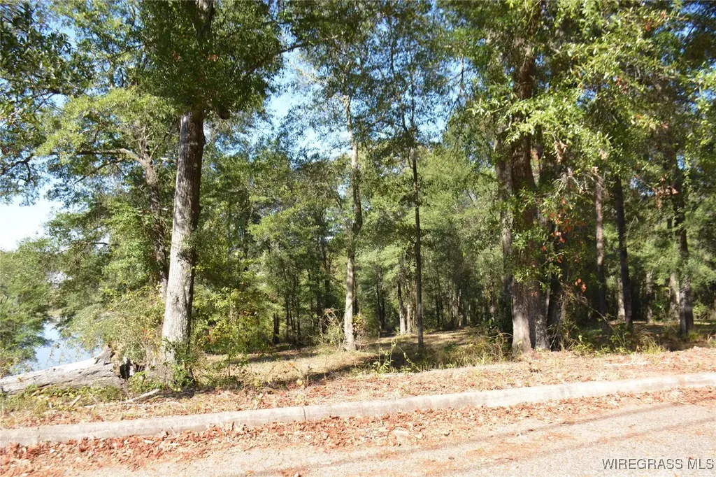 0 Meriwether Road Enterprise AL 36330