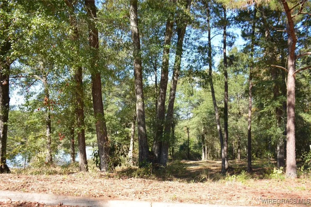 0 Meriwether Road Enterprise AL 36330