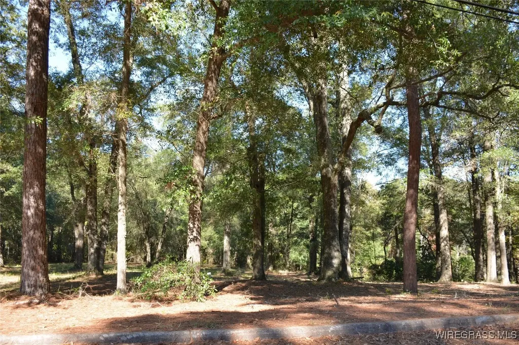 0 Meriwether Road Enterprise AL 36330