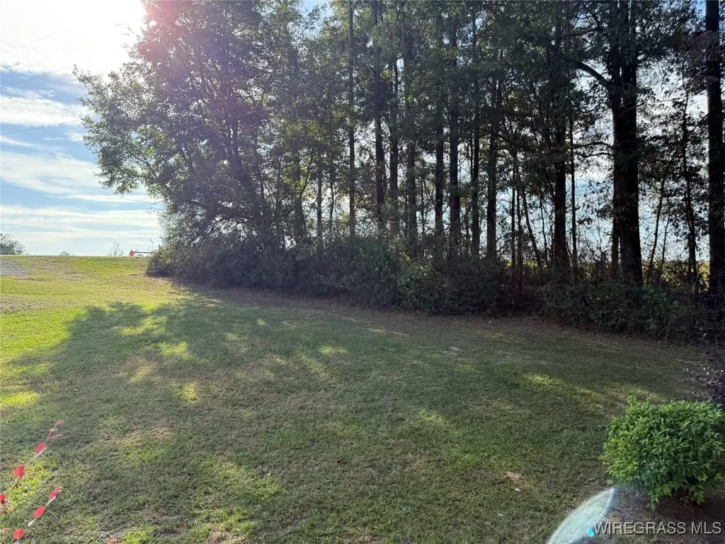 9177 County Road 306 Glenwood AL 36034