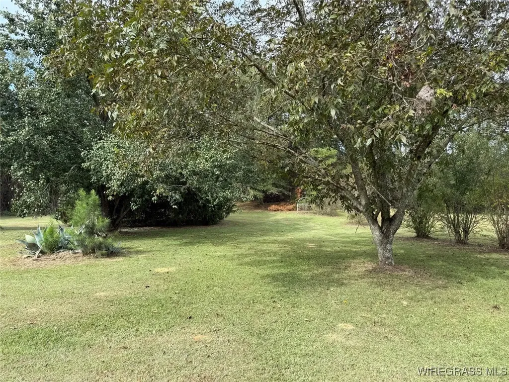 9177 County Road 306 Glenwood AL 36034