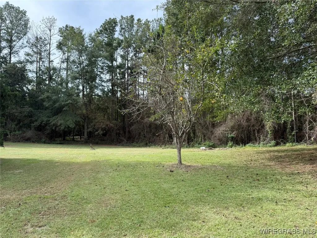 9177 County Road 306 Glenwood AL 36034