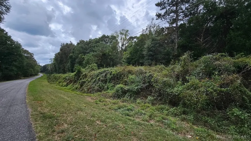 14 County Road 11 Ozark AL 36360