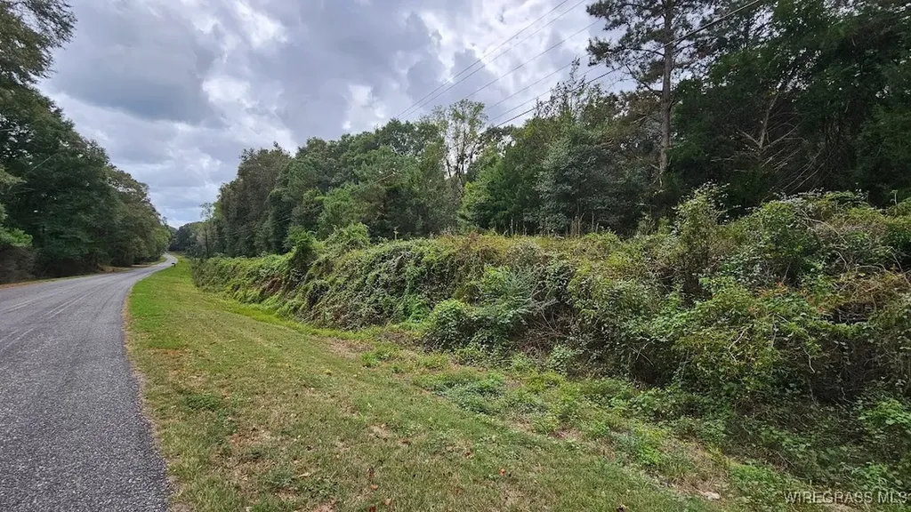 14 County Road 11 Ozark AL 36360