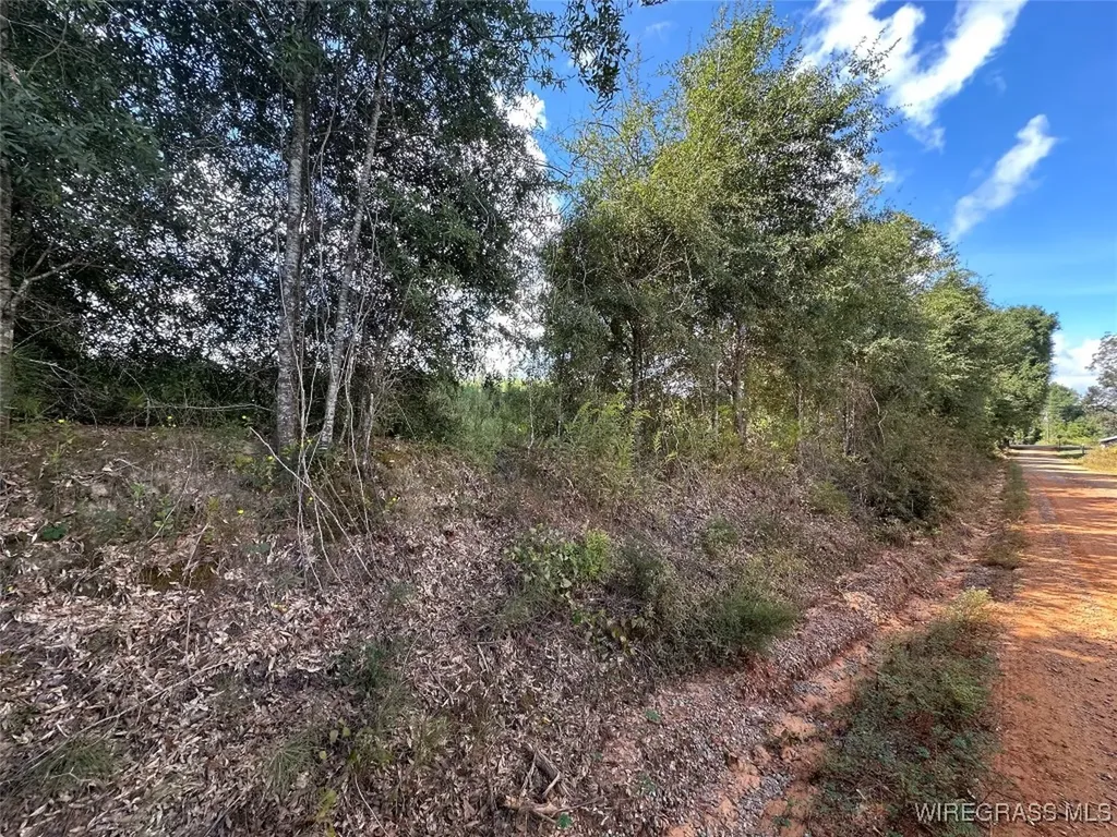 0 County Road 200 Jack AL 36346