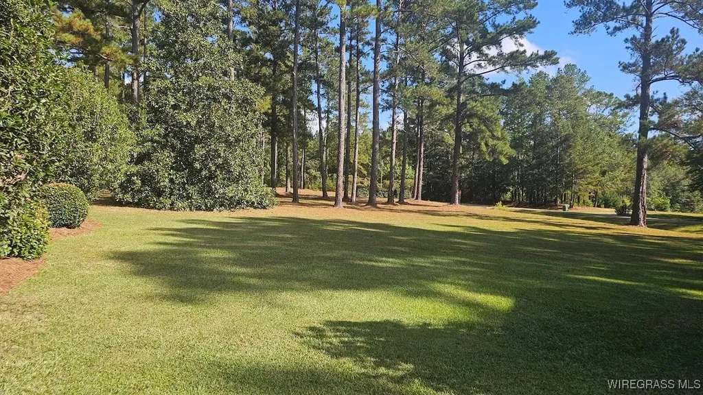 1071 Mose Ware Road Ozark AL 36360