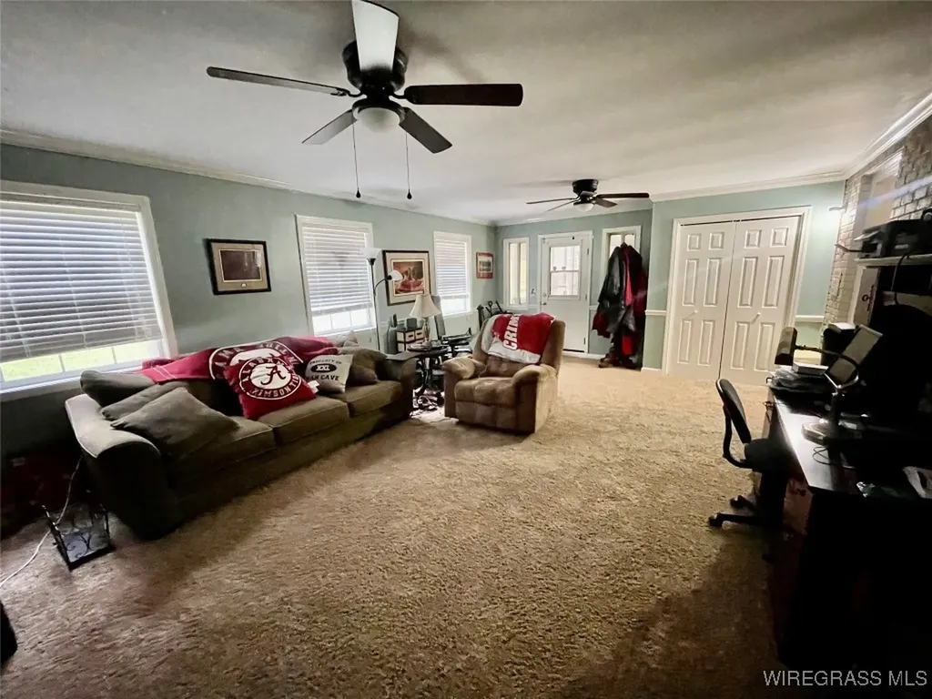 1375 Forest Lake Drive Elba AL 36323