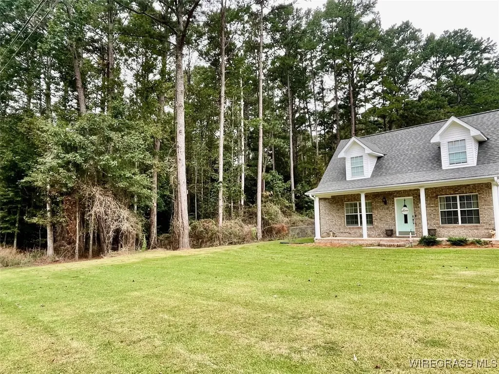 1375 Forest Lake Drive Elba AL 36323