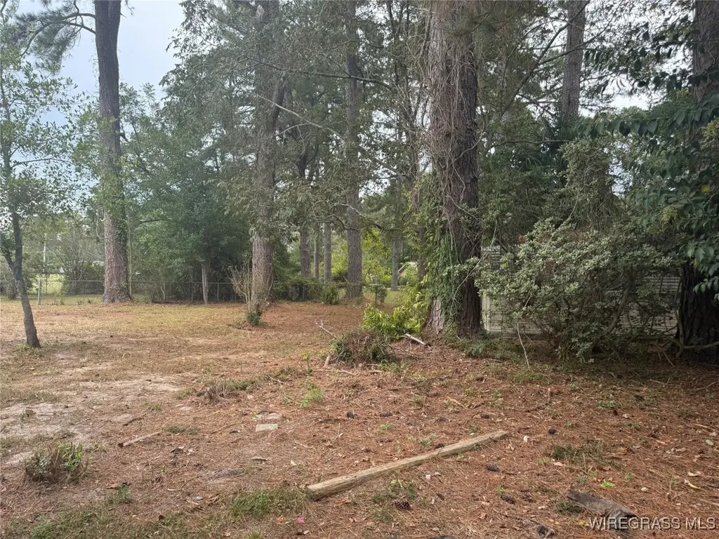 967 Elm Avenue Elba AL 36323