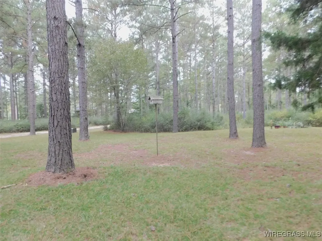 28374 Harbor Road Andalusia AL 37421