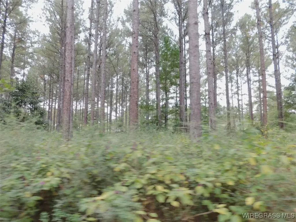 28374 Harbor Road Andalusia AL 37421