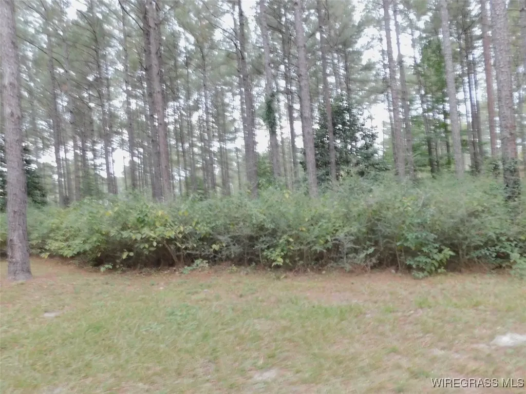 28374 Harbor Road Andalusia AL 37421