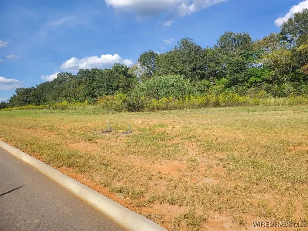 109 Bill Bullock Court Midland City AL 36350