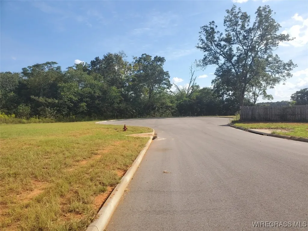 109 Bill Bullock Court Midland City AL 36350