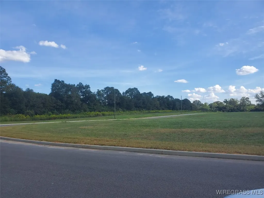 109 Bill Bullock Court Midland City AL 36350