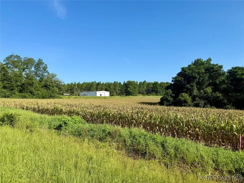17 Red Oak Road Florala AL 36442