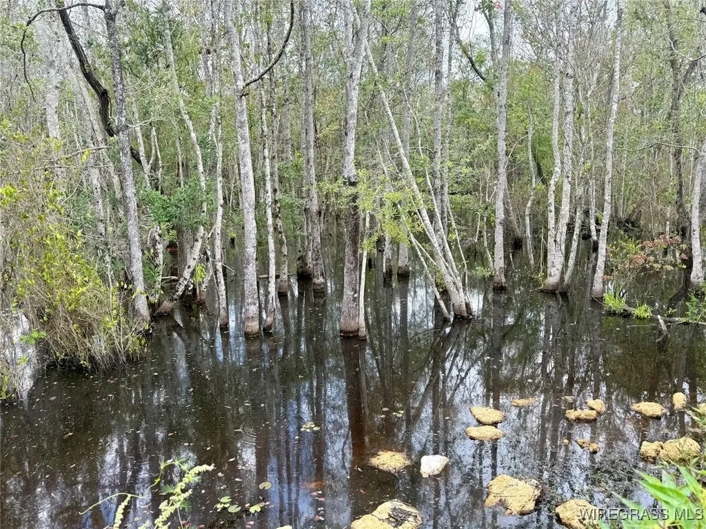 17 Red Oak Road Florala AL 36442