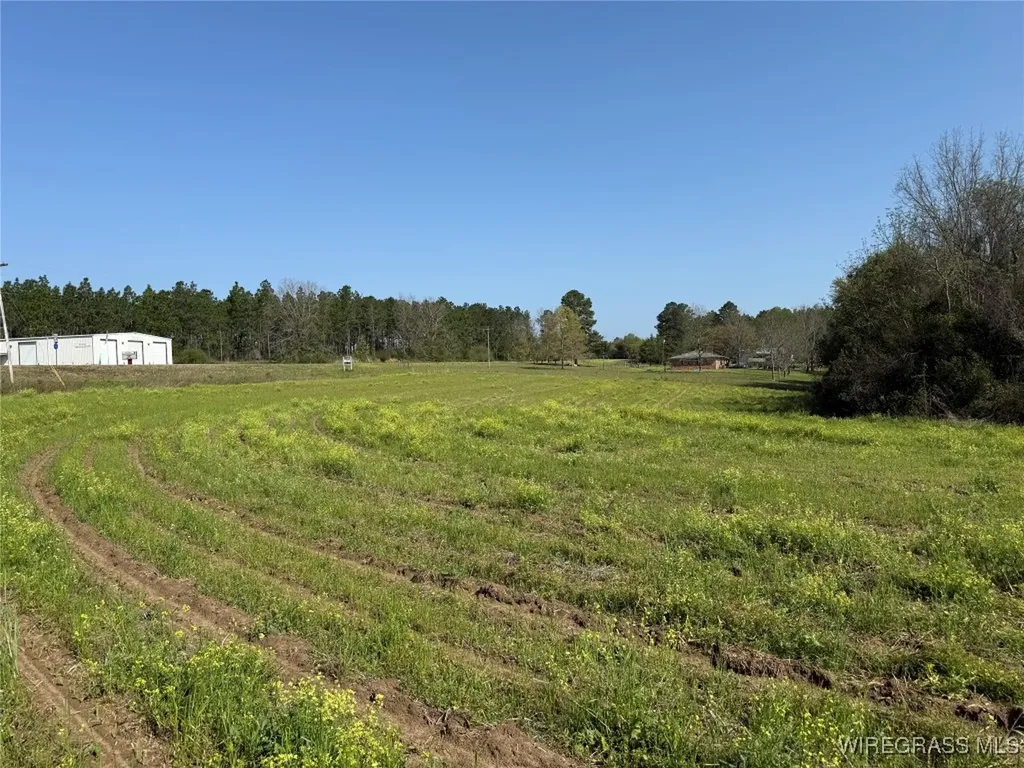17 Red Oak Road Florala AL 36442