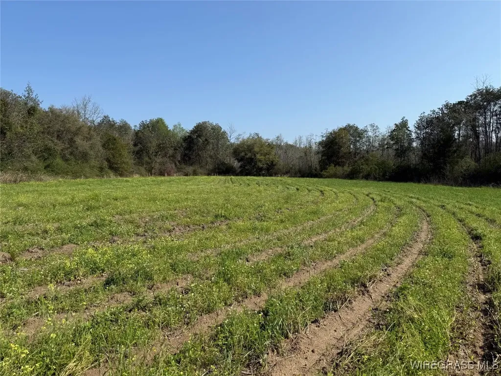17 Red Oak Road Florala AL 36442