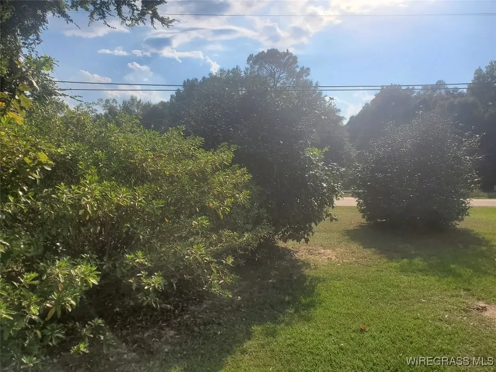 877 Bermuda Street Ozark AL 36360