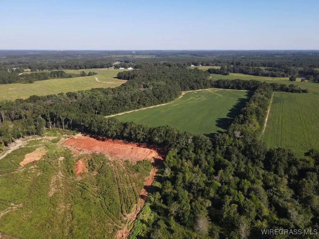 72 Boll Weevil Circle Enterprise AL 36330