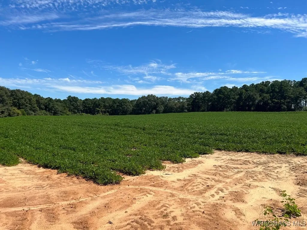 72 Boll Weevil Circle Enterprise AL 36330