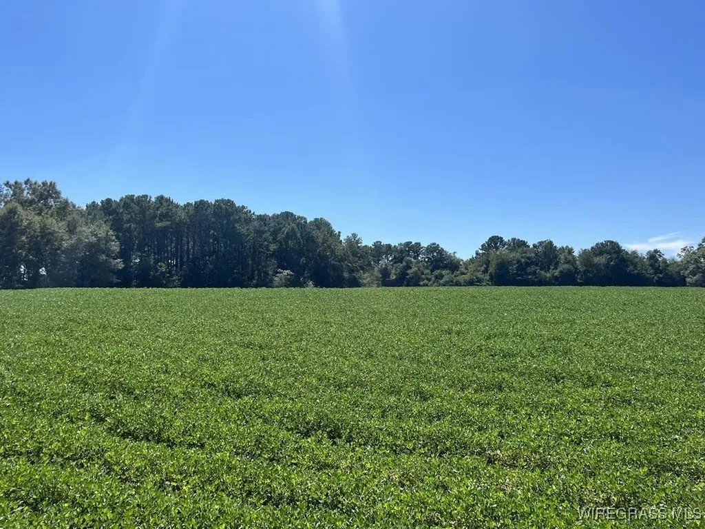 72 Boll Weevil Circle Enterprise AL 36330
