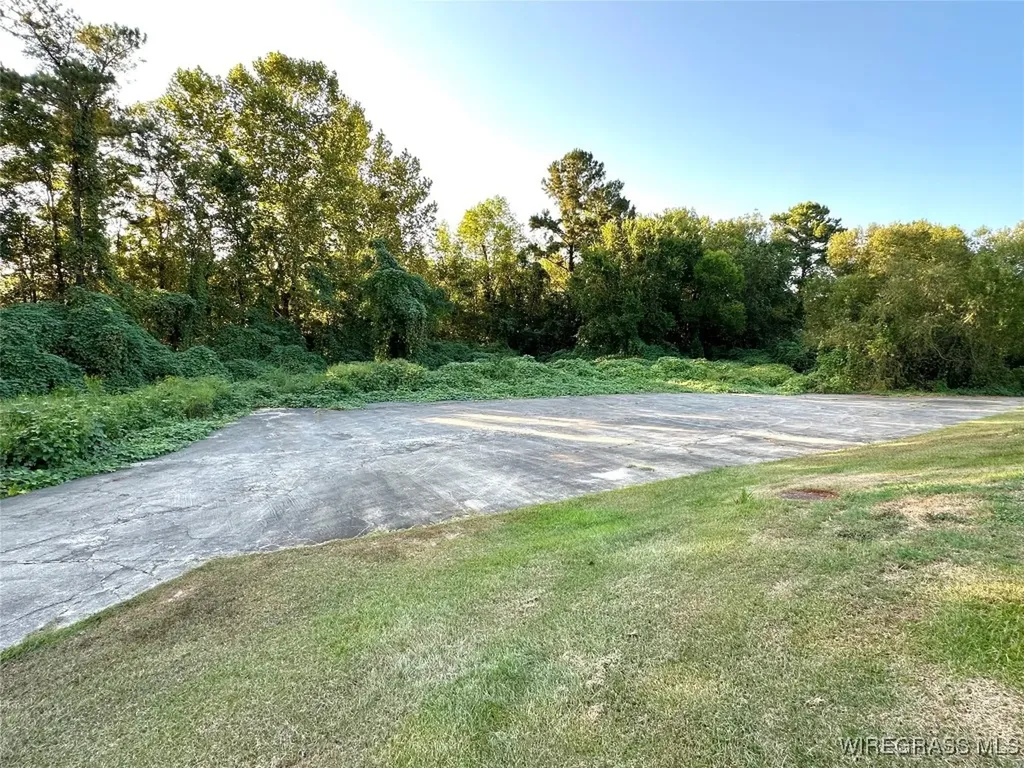 56 Hickory Tree Lane Daleville AL 36322