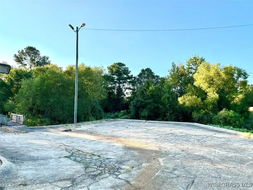 56 Hickory Tree Lane Daleville AL 36322