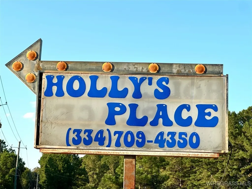 56 Hickory Tree Lane Daleville AL 36322