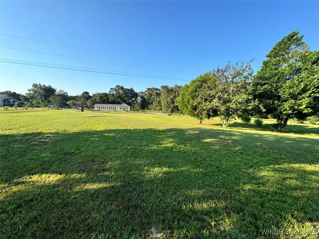 25649 Gift Shop Road Opp AL 36467