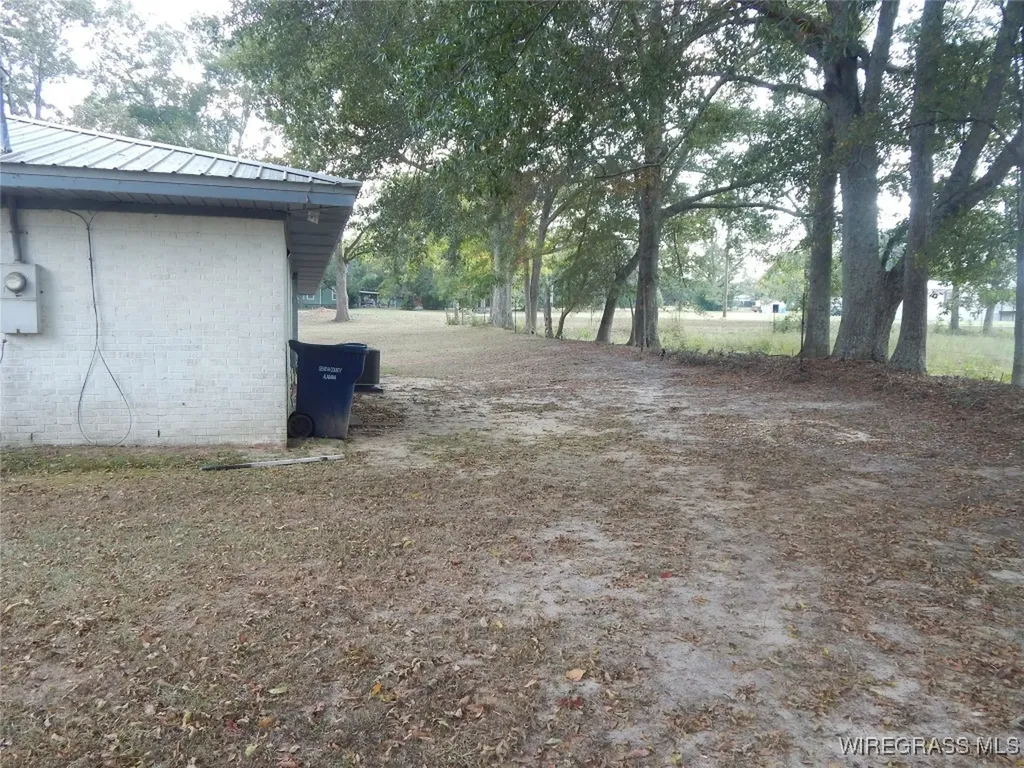 174 W Vaughn Street Coffee Springs AL 36318