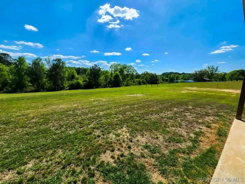 755 Culpepper Road Coffee Springs AL 36318