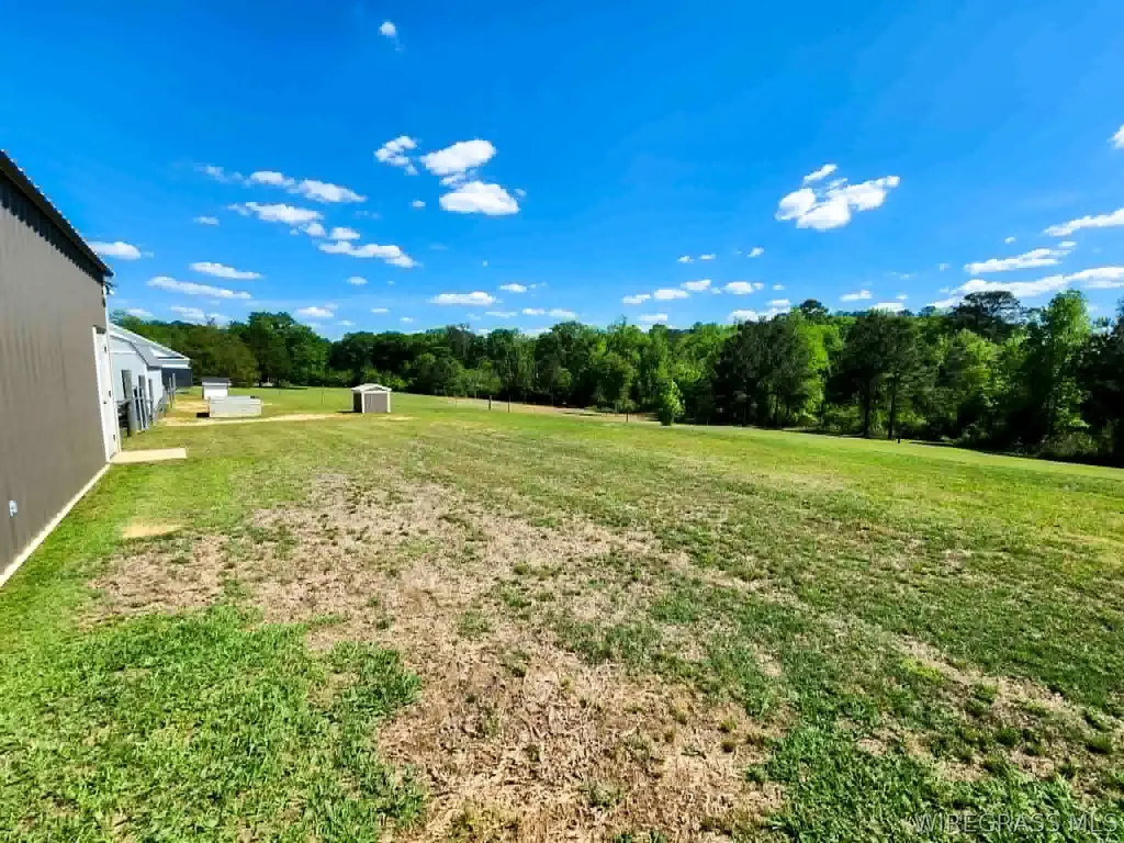 755 Culpepper Road Coffee Springs AL 36318