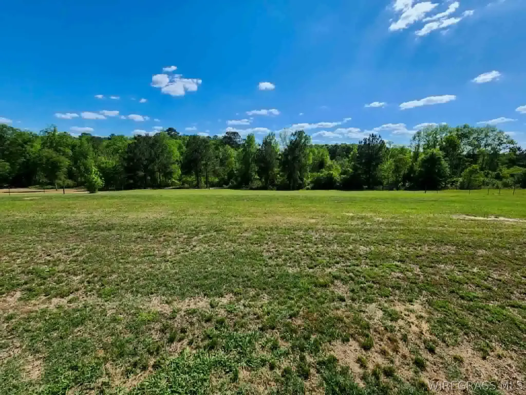 755 Culpepper Road Coffee Springs AL 36318