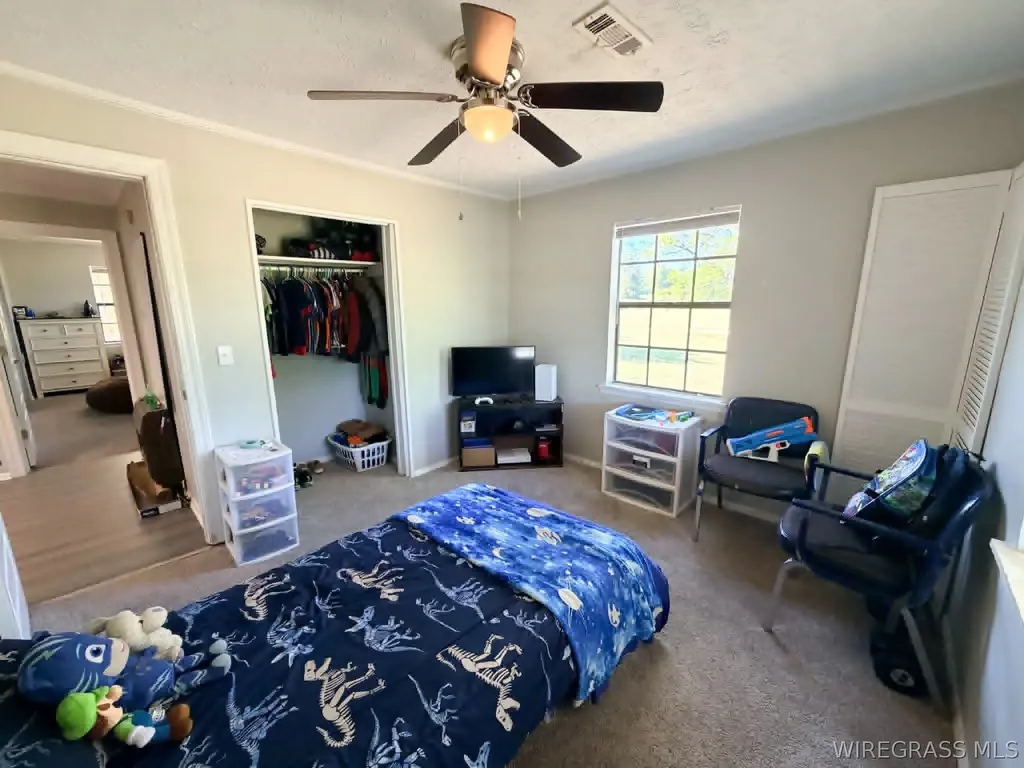 4382 S County Road 20 Ozark AL 36360