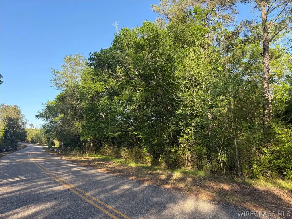 0 Leon Tower Road Dozier AL 36028