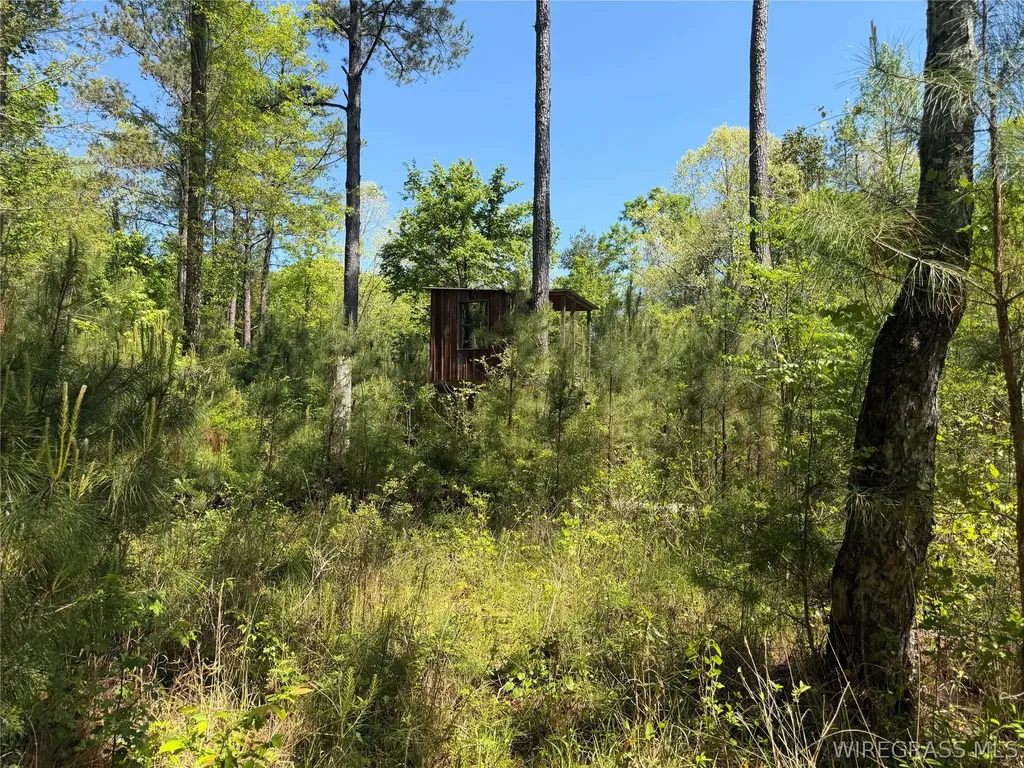 0 Leon Tower Road Dozier AL 36028