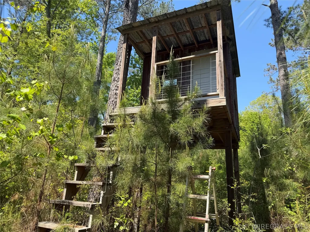 0 Leon Tower Road Dozier AL 36028