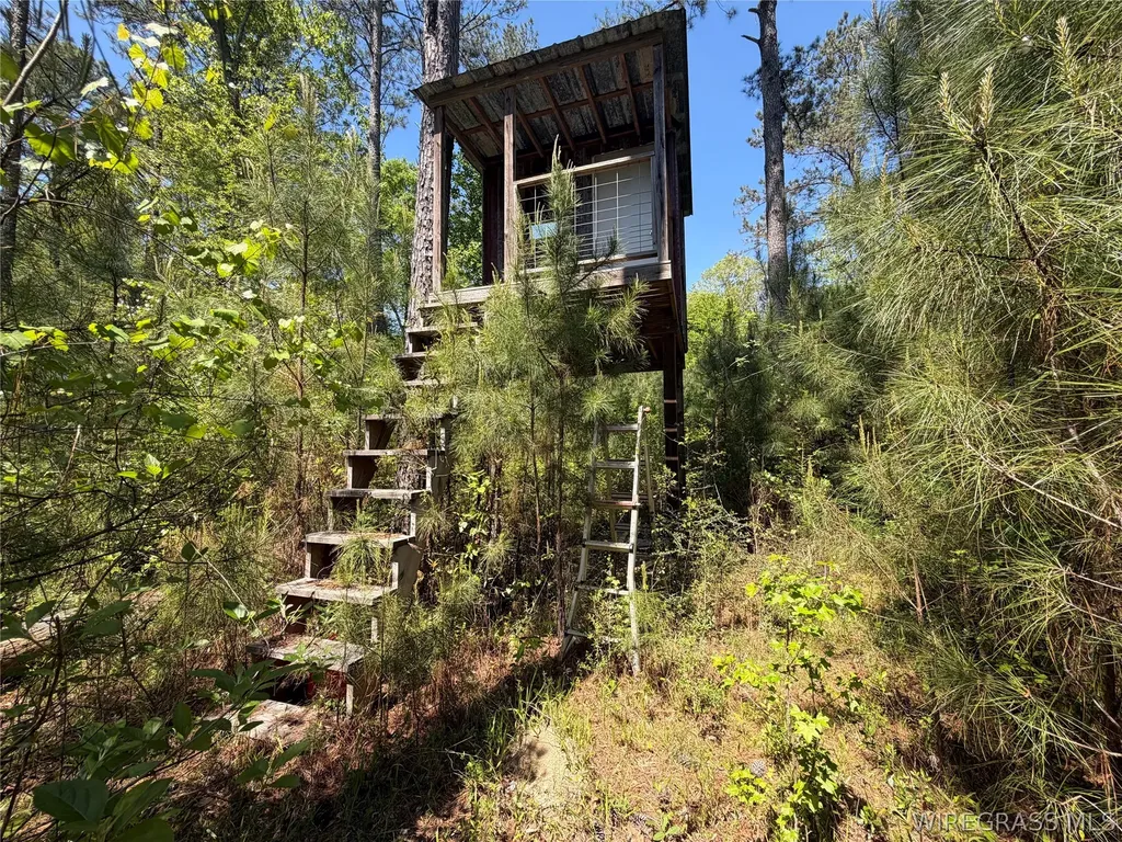 0 Leon Tower Road Dozier AL 36028