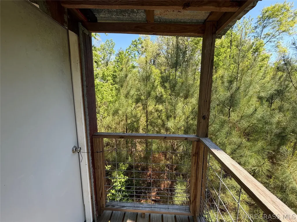 0 Leon Tower Road Dozier AL 36028