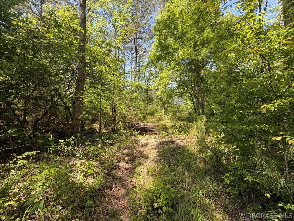 0 Leon Tower Road Dozier AL 36028