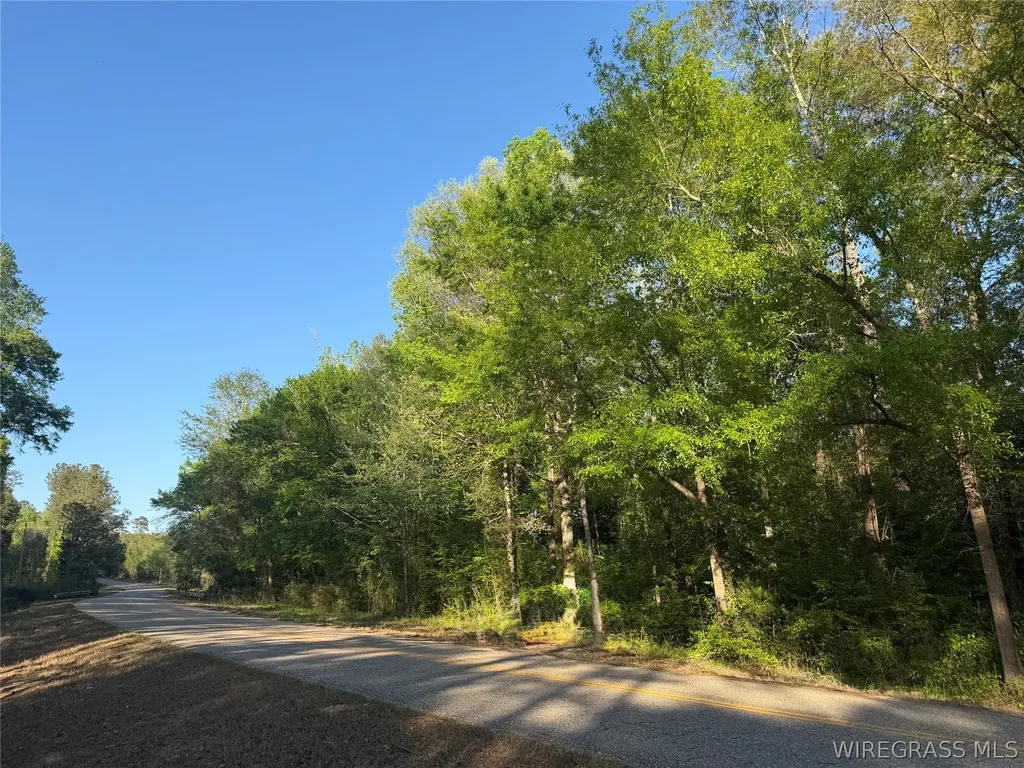 0 Leon Tower Road Dozier AL 36028