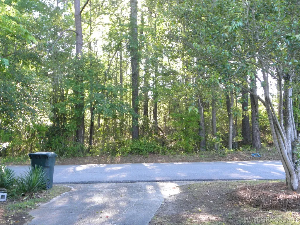 599 Parker Hills Drive Ozark AL 36360