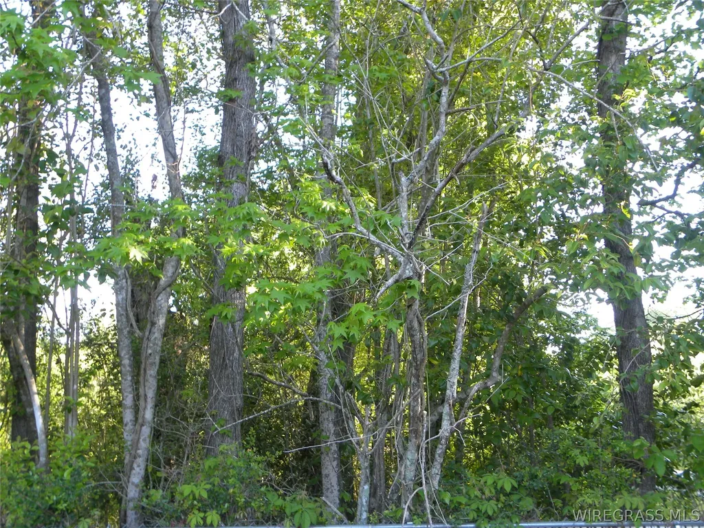 599 Parker Hills Drive Ozark AL 36360